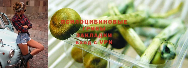 винт Абаза