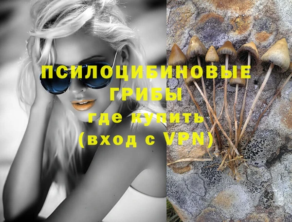 spice Алексин