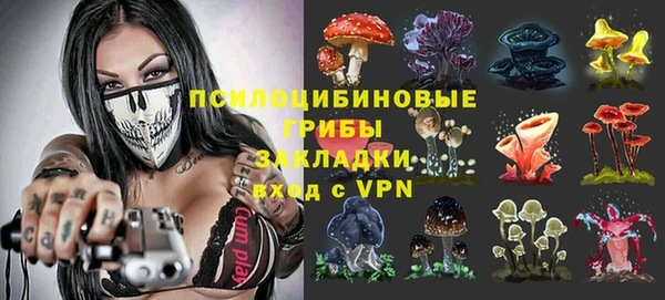 spice Алексин