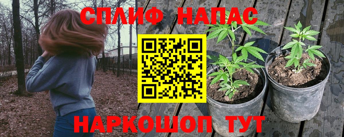Конопля THC 21% Архангельск